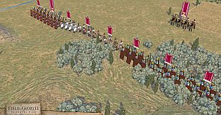 Field of Glory II: Immortal Fire