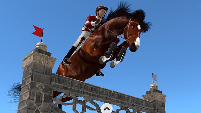 Jumpy Horse Show Jumping