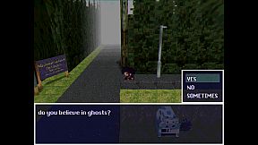 SWOLLEN TO BURSTING UNTIL I AM DISAPPEARING ON PURPOSE