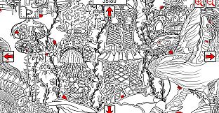 SEARCH ALL - SEASHELLS