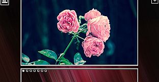 Super Jigsaw Puzzle: Generations - Flowers Puzzles