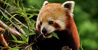 Pleasure Puzzle:Workshop - Part 5