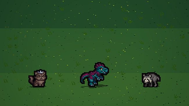Jimothy the Racoon Pet