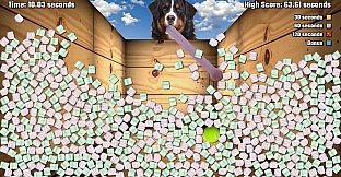 Salamander County Public Television