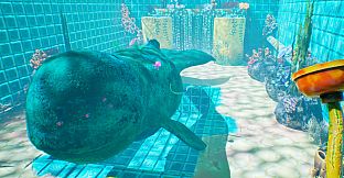 Whale Cleaner