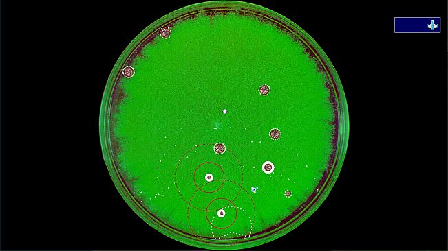Coronavirus - Nano Force