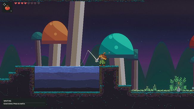 Wilderwake