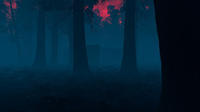 The Woods