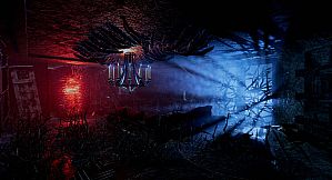 The Mirror Dimension