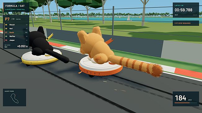 Formula Cat