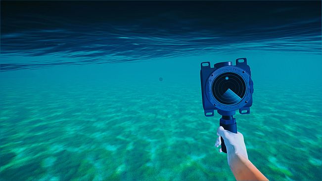 Beach Club Simulator 2024