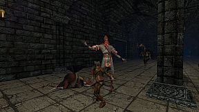 The Turkey of Christmas Past