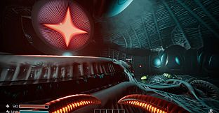 Dig Baby Dig Company