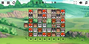 Forest Friends Match