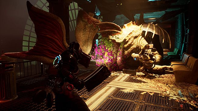 Elderfeast
