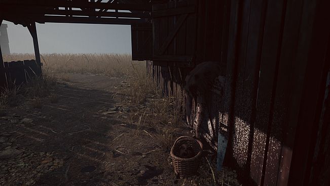 Abnormal1999:Sector 49