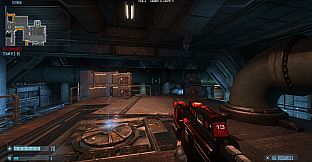 Natural Selection 2 - Skull 'n' Crossfire Rifle