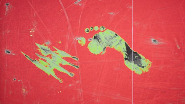 The Ghost - Task of the Ghost Hunters