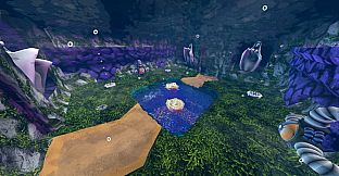 Rock Hard Reef