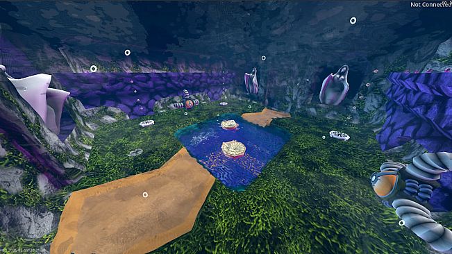 Rock Hard Reef
