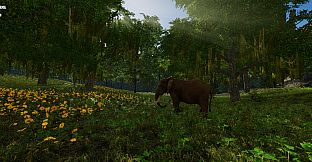 Gander National Park