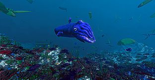 Ecosystem - Tropical Fish Pack