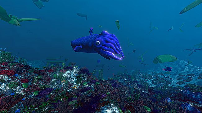 Ecosystem - Tropical Fish Pack