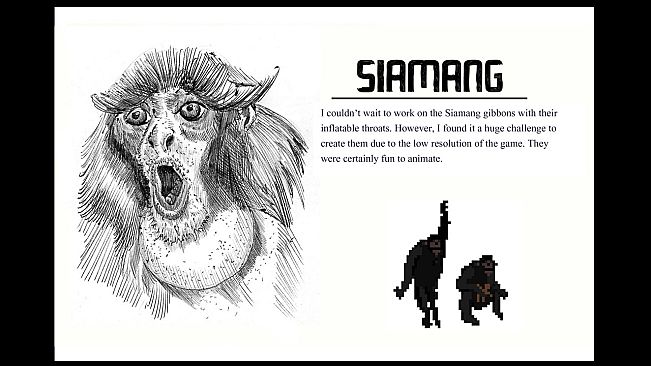 Sumatra: Fate of Yandi - Collector's Edition