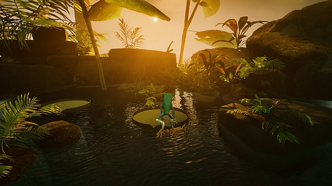 Planet Frog