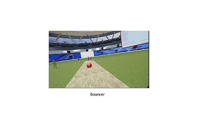 VR Cricket