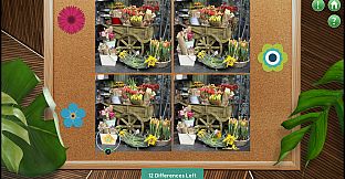 So Much Stuff 3: Odds & Ends Collector's Edition