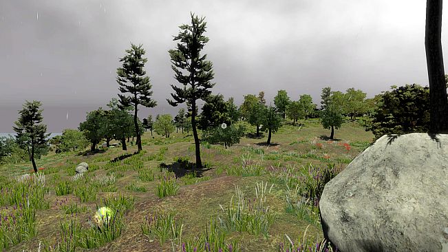 Survivor of Eschewal