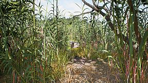 HIKE: Beyond the Trails