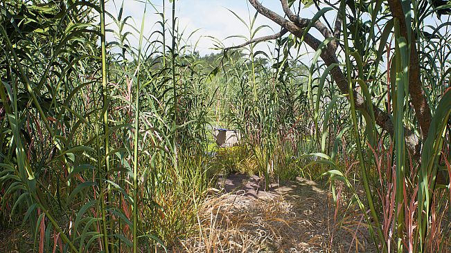 HIKE: Beyond the Trails