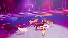 Claw Clash: Cat vs Dog Betting