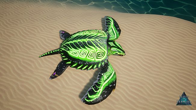 Beasts of Bermuda - Archelon Supporter Warpaint