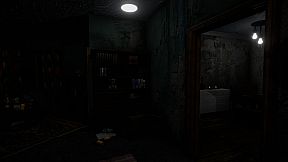 Unknown Memoirs: The Rental