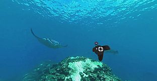 MermaidVR Video Player