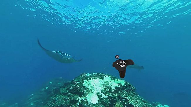 MermaidVR Video Player