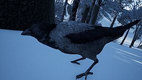 Hiking Simulator 2018