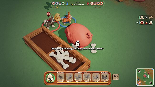 Pig & Pup