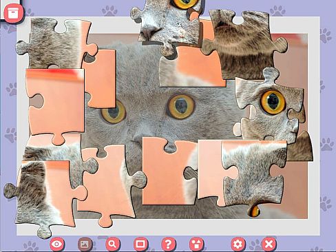 1001 Jigsaw. Cute Cats 4