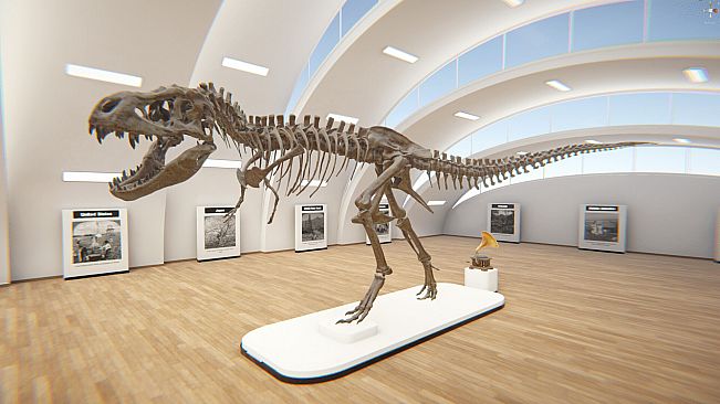 Stereograph Museum VR