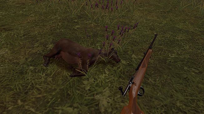 Hunting Simulator VR