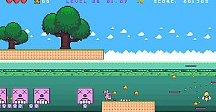 The Rabbit Crazy Adventure