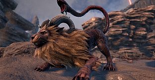 Dark and Light - Shard of Faith