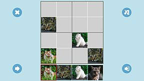 CAT SUDOKU