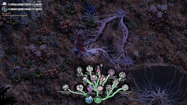 Mycelium Conquest