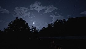 Why don't they laugh?