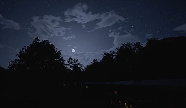 Why don't they laugh?